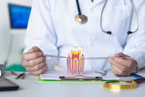 Best Urgent Dental Care for Toothache in Cherry Brah, NC